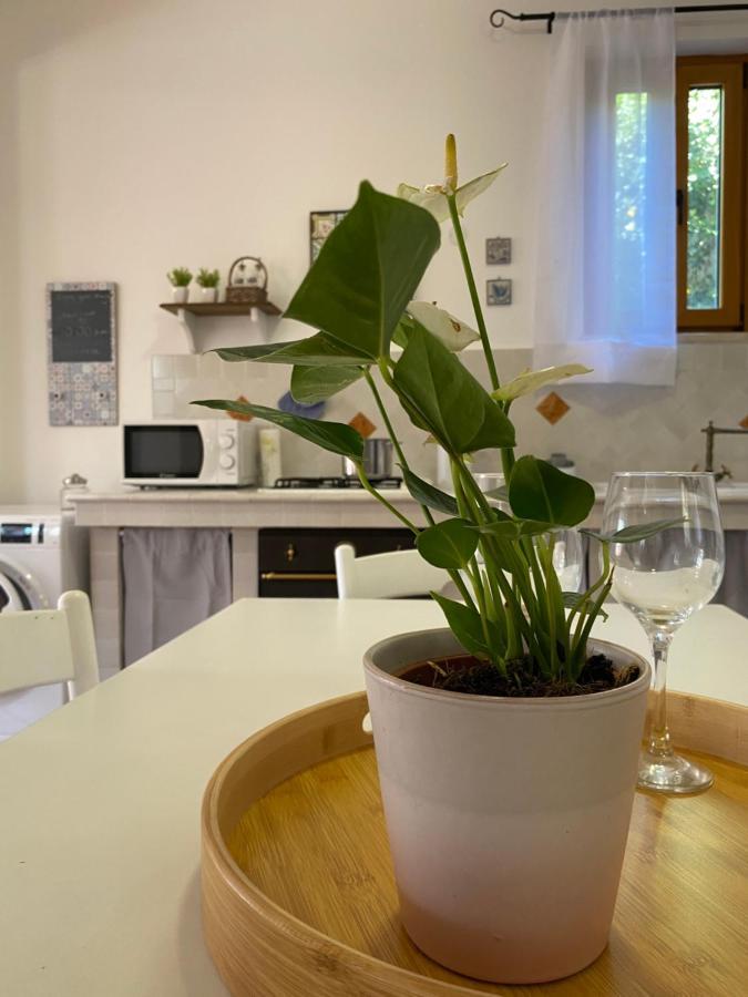 Mondello Holiday Home 외부 사진